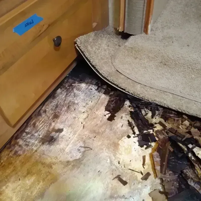 Wood Floor Water Damage in Schoolcraft County, MI